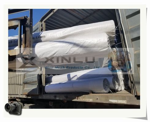 8 ίντσα 219mm ανοξείδωτο καλά - οθόνη 5.8m κοινός σωλήνας νημάτων φίλτρων νερού μήκους